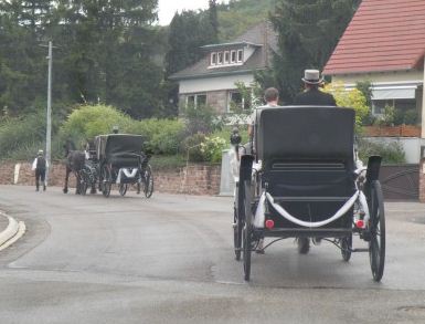 Location de calèche, mariage, chevaux